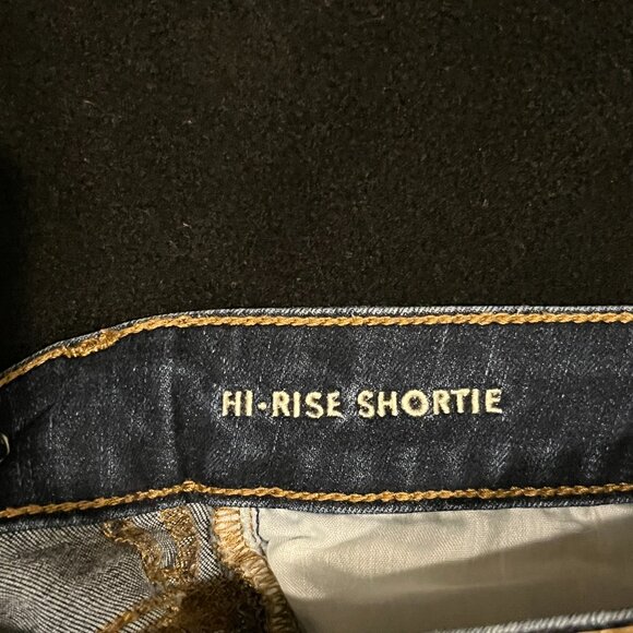American Eagle Next Level Stretch Hi-Rise Shortie Shorts Size 2 - Picture 6 of 6